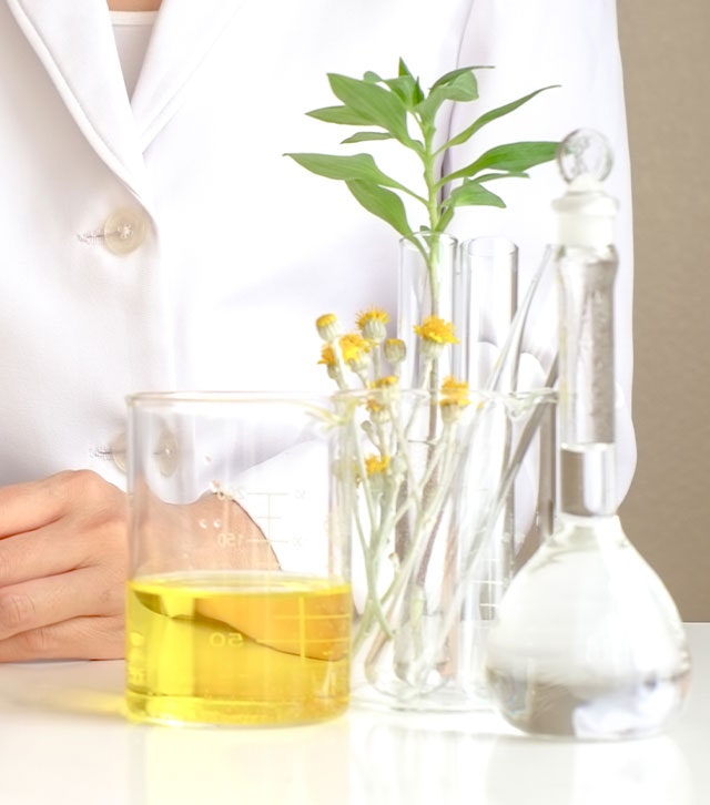 Brightening through natural saururus chinensis extract